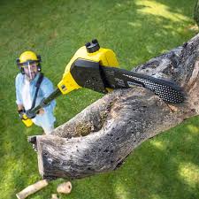 Lawn Maintenance Plans in Avon Lake, OH