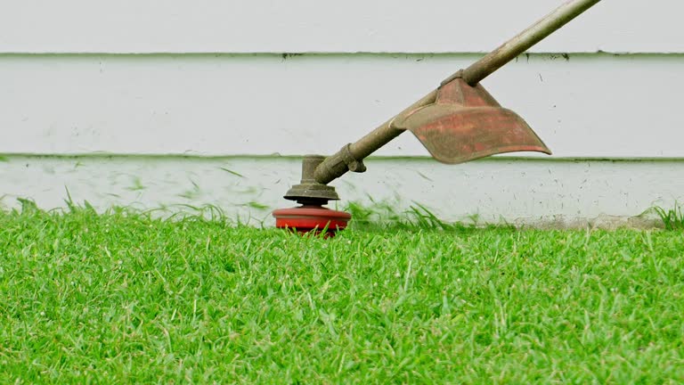 Lawn Renovation and Restoration in Avon Lake, OH